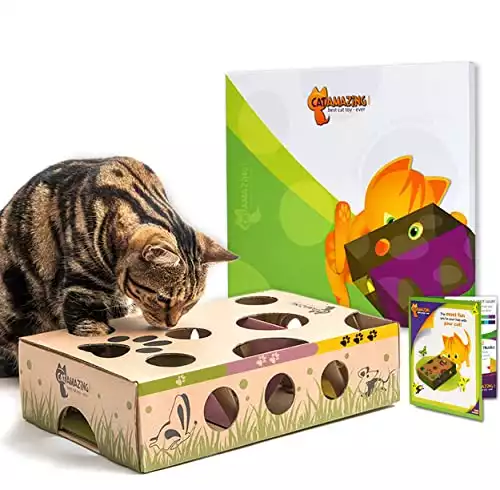 Cat Amazing Classic – Interactive treat maze & puzzle feeder