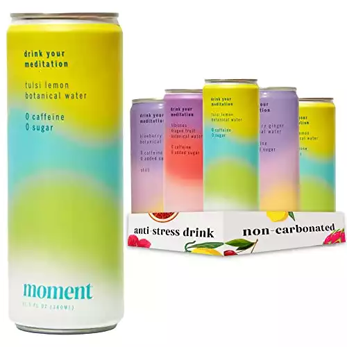 Moment Botanical Water STILL - Variety Pack, 12 Cans